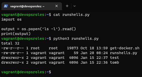 how to run windows shell command in python