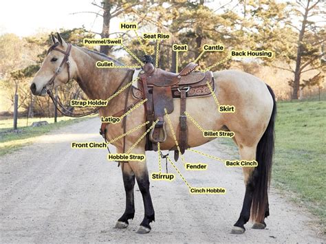 how to saddle a western saddle