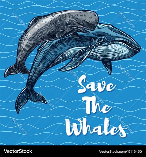 how to save a whale