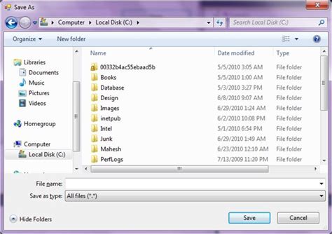 How To Save File In Project Folder C#