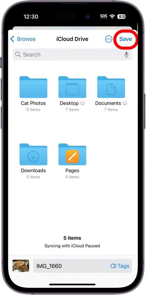 How to Save Items to the Files App on Your iPhone