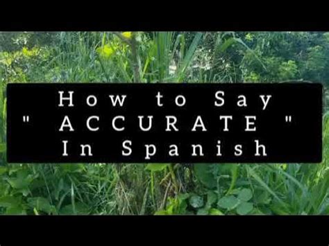 how to say accurate in spanish