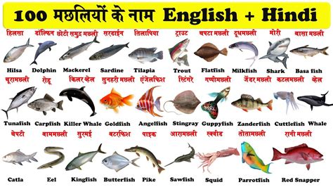 how to say fish in hindi