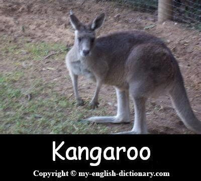 how to say kangaroo