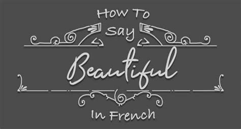 how to say magnificent in french