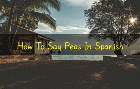 how to say pea in spanish