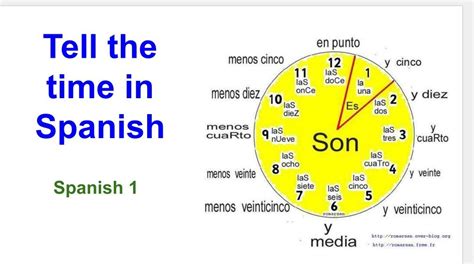 how to say sinus in spanish