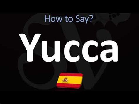 how to say yucca in spanish