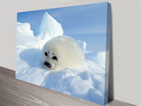 How To Seal A Canvas Print