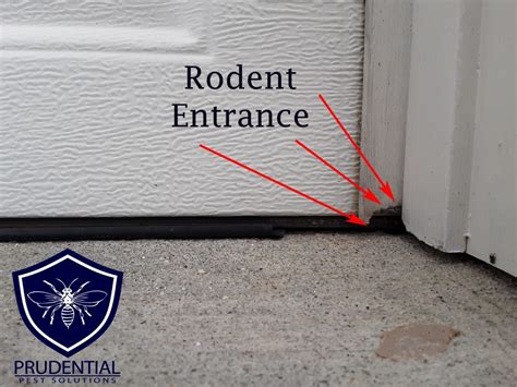 How To Seal Under Garage Door