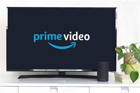 how to search on prime tv