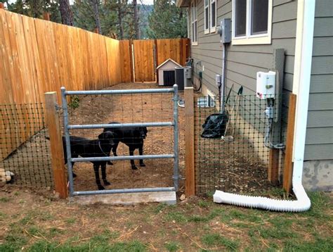 How To Secure Yard For Dog
