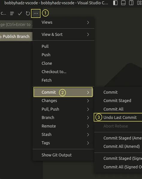how to see last commit in visual studio code