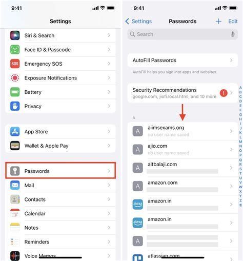 how to see my passwords icloud
