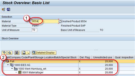 how to see stock overview in sap