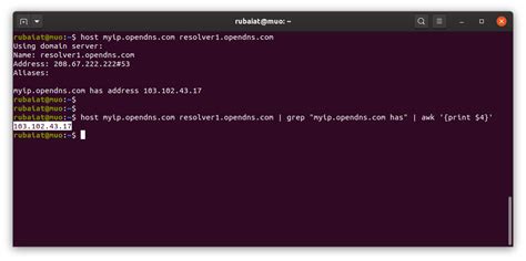 how to see the public ip in linux