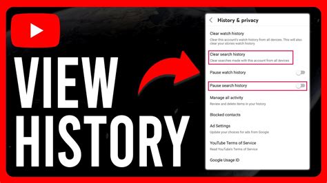how to see watch history on youtube signed out
