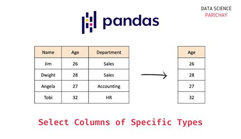 how to select specific columns in dataframe python