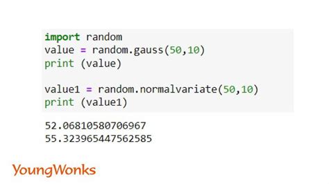 how to set a random variable in python