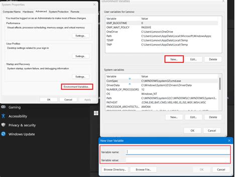 how to set api key in environment variable