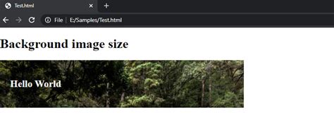 how to set background image height auto in css
