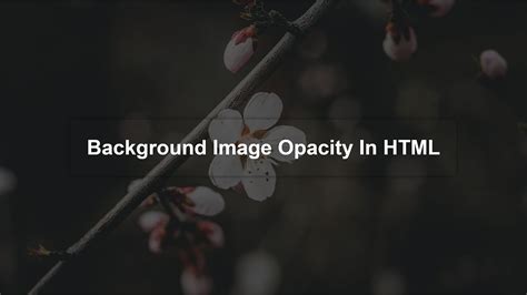 how to set background image opacity in html css