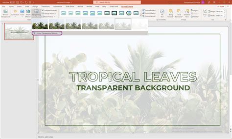 how to set background transparent in powerpoint