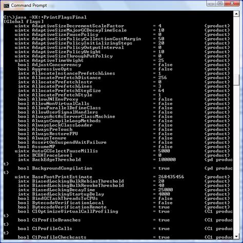 How To Set Jvm Flags
