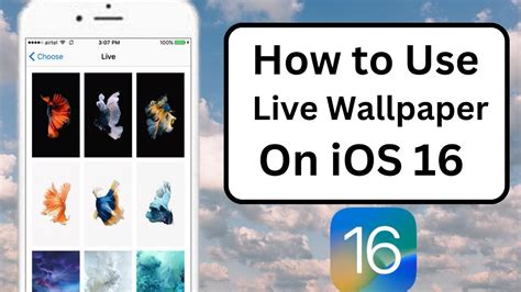 how to set live wallpaper on ios 16