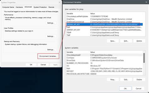 how to set openai_api_key environment variable in python