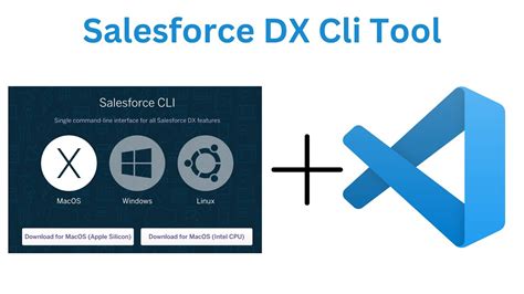 how to set path for salesforce cli