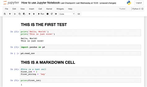 how to set python path in jupyter notebook