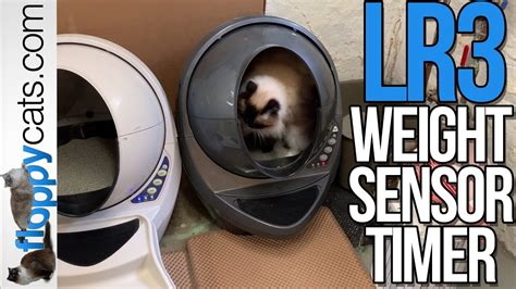 How To Set Timer On Litter Robot 3