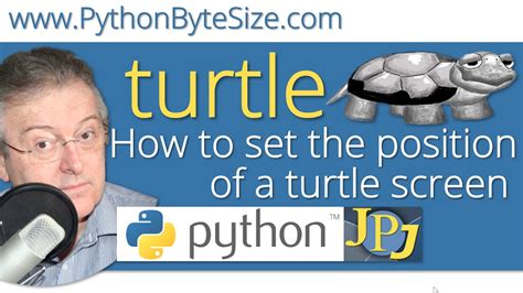 how to set turtle as image in python