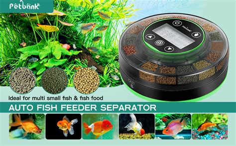 How To Set Up Automatic Fish Feeder