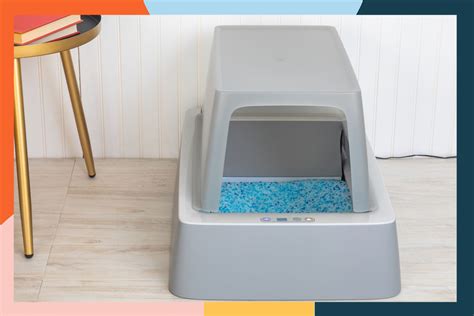 How To Set Up Automatic Litter Box
