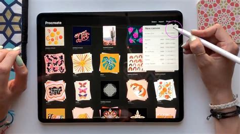 How To Set Up Procreate On Ipad