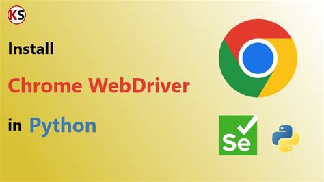 how to setup chrome driver in selenium python