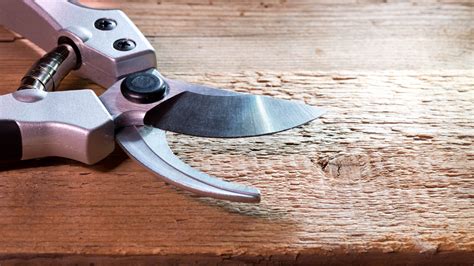 How To Sharpen Pruning Scissors
