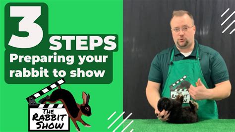 How To Show A Rabbit In 4H