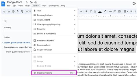 how to show formatting in google docs