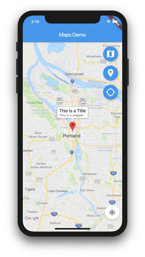 how to show google map in flutter