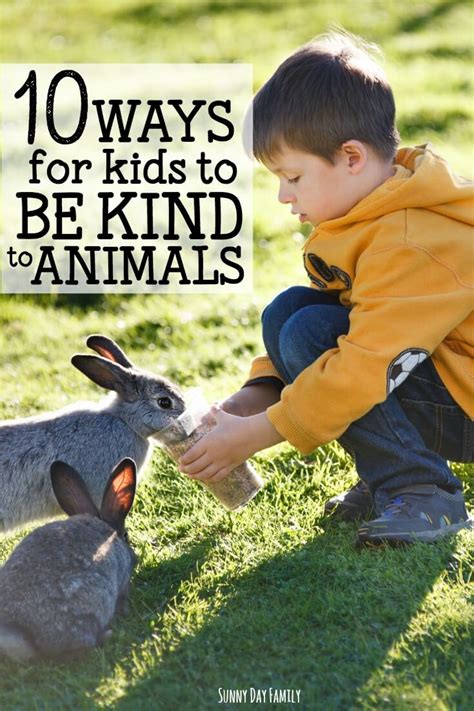 how to show kindness to animals