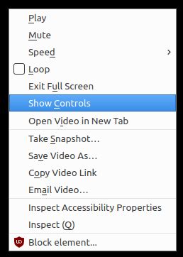 How To Show Video Controls In Html5