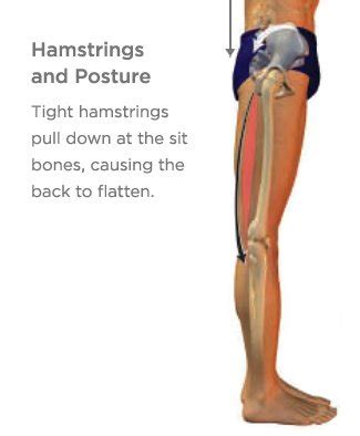 How To Sit On The Toilet With A Torn Hamstring