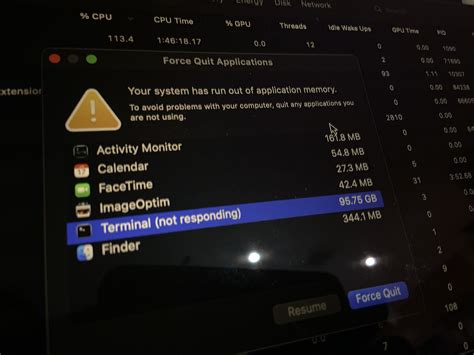 how to solve application memory on mac