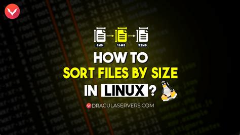 How To Sort Files In A Folder Linux