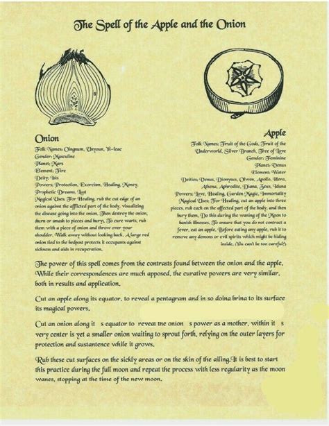 How To Spell Onions In Spanish