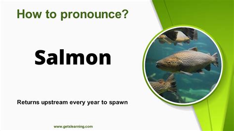 How To Spell Salmon