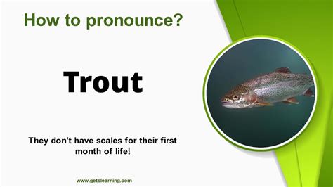 How To Spell Trout